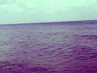 hollis ireland slips into tiniest bikini for close-up pussy tease