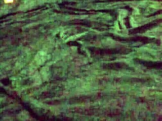 i bare my curvy body for the first naked photoshoot feeling sexy