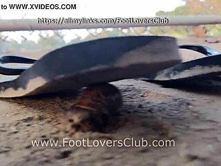 giantess maria crushes snails under feet unaware latina fetish