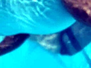 plump fat ass display