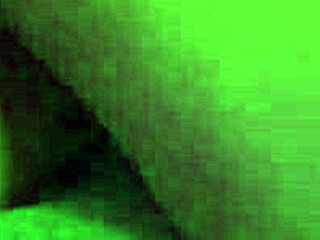 daniela and shaira finger pussies solo together