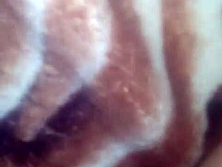 vietnamese asian babe gets fucked hard