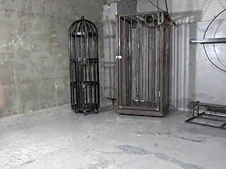 Mikako Fujishiro Dominates with Strapon Wrestling Action