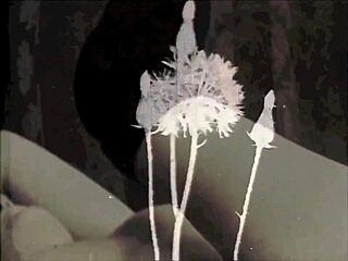 wow vintage hairy beaver threesomes rock hard