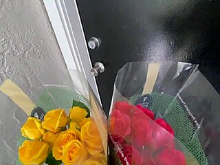 Two Ebony College Sluts Share Big Black Cock Cumshots