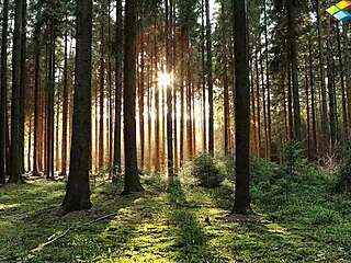 local wife meets men when feeling playful subscribe now