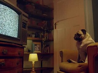 eden ivy's blue eyes tease during homemade cock sucking