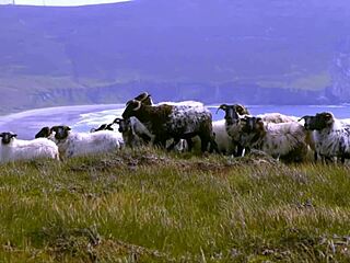 edenists rock handmade objects tate modern group show