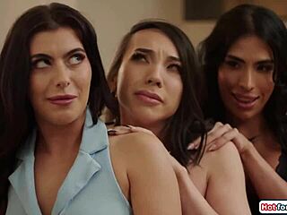 testing my new bed fucking two super hot tgirls bareback