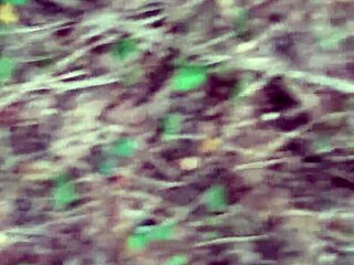 Lesbian lovers fuck secretly in forest, cumming hard outdoors.