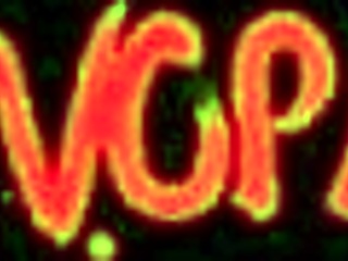 jupiter's eclipse hits totality during phase one