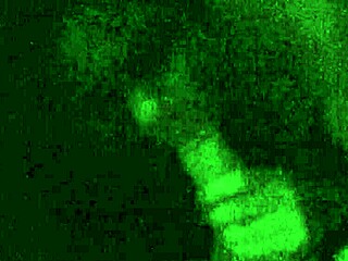 Filipina Milf Sucks Hubby's Morning Wood Deep.