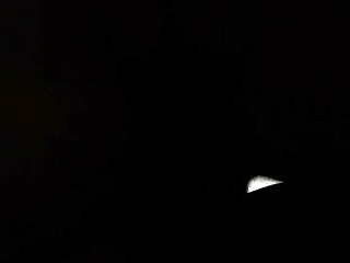 redbone hangs with mature daddy