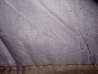 pregnant at six months flashes huge belly and bushy pubes