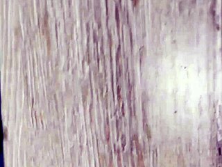 horny stepsis shares bed for taboo fuck and cumshot