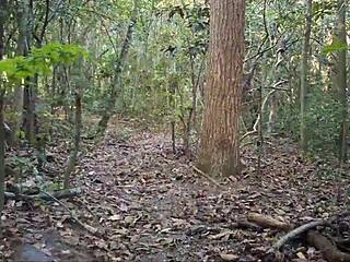 heart pounding as stranger ravishes me deep in forest wilderness