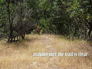 nudists doggystyle fuck bent over on beach hike