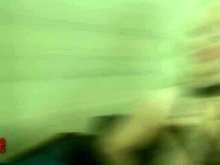 black breeding session for petite princess eve trailer