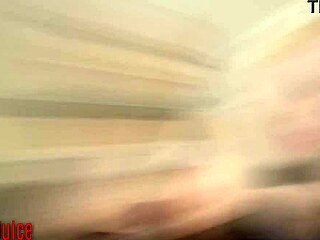 black breeding session for petite princess eve trailer