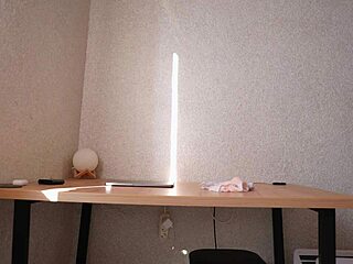 perfect body model teases in panties with ass shakes