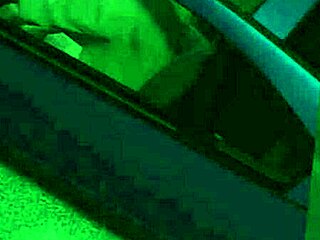 GTA 5 Caught Banging Hooker In Car