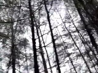 voyeur catches clitlicker662 flashing hairy pussy in forest orgasm frenzy