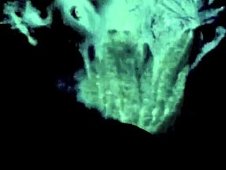 Vintage lesbians uncover hairy beaver secrets in retro passion