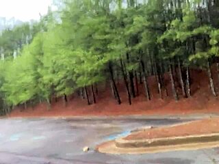 voyeur catches clitlicker662 flashing hairy pussy in forest orgasm frenzy