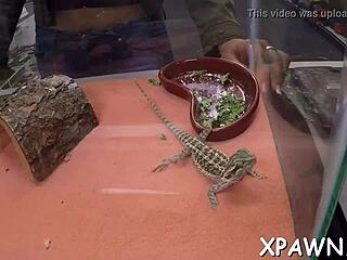 exhibitionist amateur teases with wet pussy suck before bent over pounding