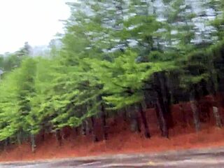 voyeur catches clitlicker662 flashing hairy pussy in forest orgasm frenzy