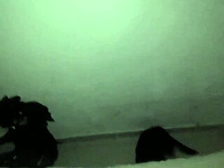 nerdy latina amateur begs for hot leche in her naughty mouth