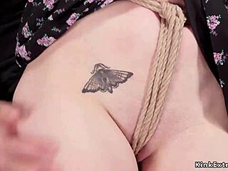 gagged crotch roped french freya hogtied fucked hard bdsm