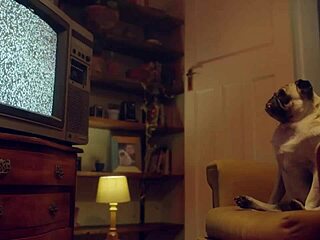 backstage desire overwhelms us mid-recording with curvy friend