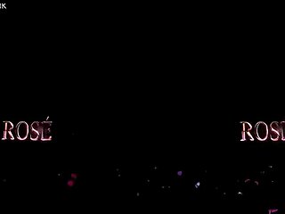 born pink blink concert vibes