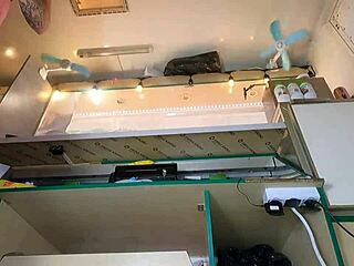 hidden cam catches this sexy dumb bitch's hot pussy play 😏👀