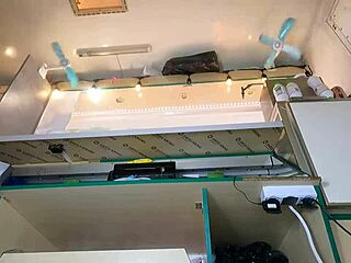 hidden cam catches this sexy dumb bitch's hot pussy play 😏👀