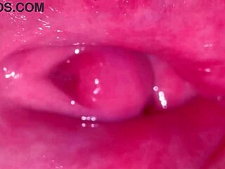 Amateur Pink Pussy Closeup Post Virginity