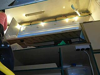 Hot hostess swaps panties at work, hidden cam catches every sexy move