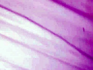 Kiwi slut's panties aside for sloppy monster BBC pounding