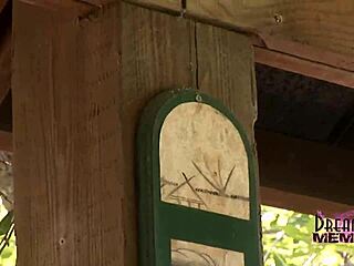 tattooed petite brunette flashes shaved pussy stripping nude outdoors