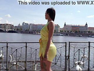 Afterparty bus turns into 5on1 balls-deep DAP wrecking Vitoria Beatriz's ass with facial swallow!