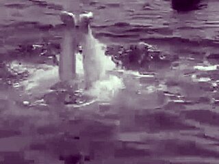 vintage hairy mermaids reveal secret wet pussies!