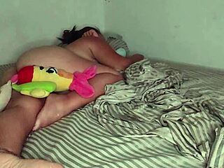 pablo pounds colombian beauty bent over doggystyle vol 7