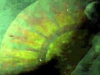 Vintage Erotic Cartoon Art Collection