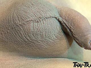 😘 petite thai tgirl strokes her cock seductively