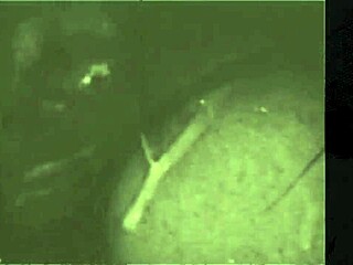 Vintage Erotic Cartoon Art Collection