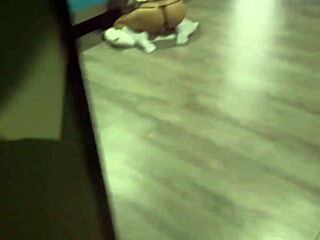juicy teen rips clothes anal toy-fucking her moans make me explode