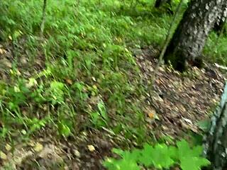 naughty brunette rides stranger's cock forest doggystyle pov
