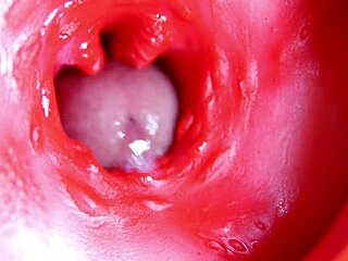 a massive red cock throbs deep in juicy hole ready to explode cum anytime
