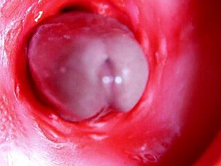 a massive red cock throbs deep in juicy hole ready to explode cum anytime